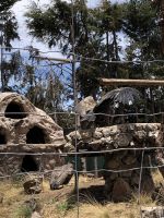 Manos de la Comunidad 