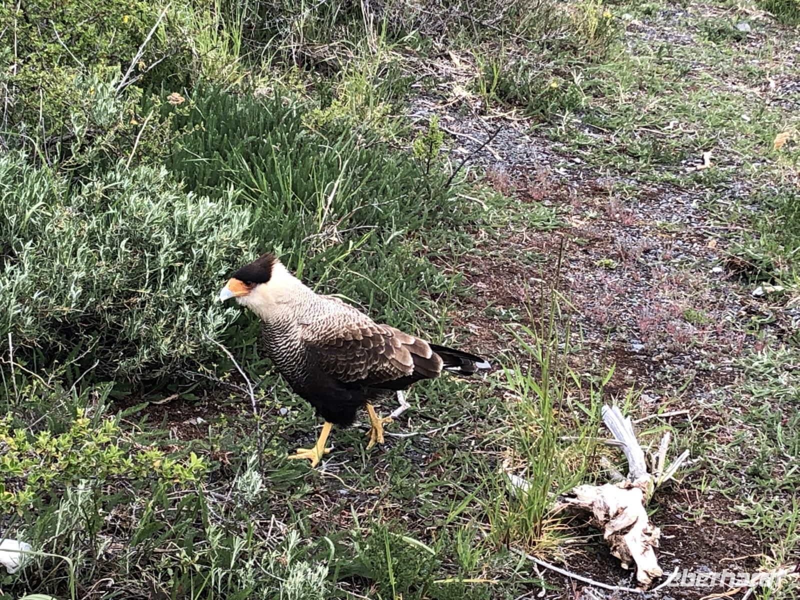 Torres del Paine Nationalpark