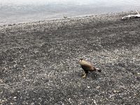 Torres del Paine Nationalpark 