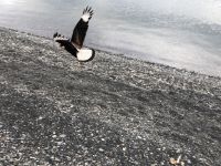 Torres del Paine Nationalpark 