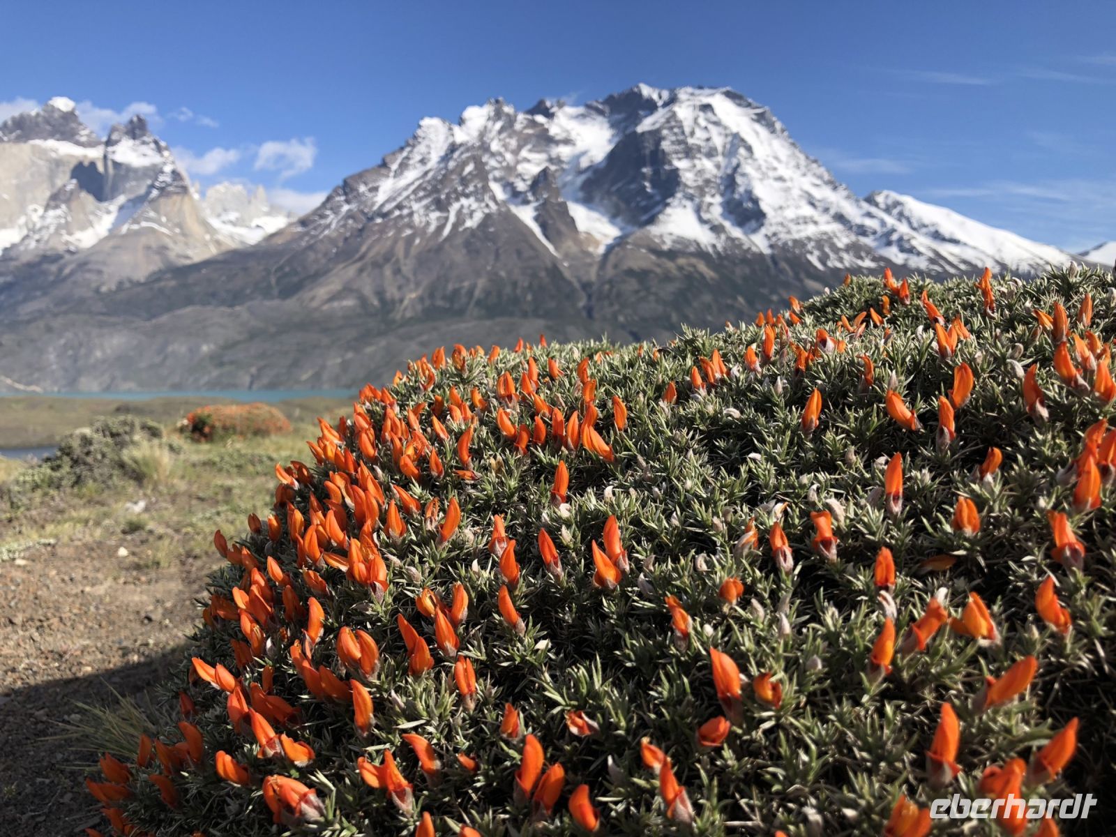 Torres del Paine Nationalpark 