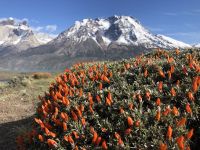 Torres del Paine Nationalpark 