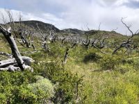 Wanderung Los Cuernos 