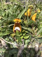 Wanderung Los Cuernos 