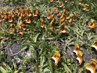 Wanderung Los Cuernos 