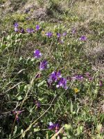 Wanderung Los Cuernos 