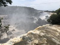 Iguazu 
