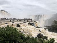 Iguazu 