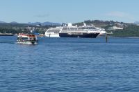 Tendern in Puerto Montt