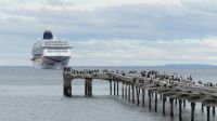 an der Uferpromenade in Punta Arenas