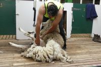 Falklandinseln, Fitz Roy Farm