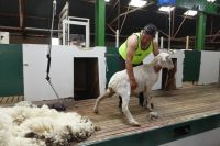 Falklandinseln, Fitz Roy Farm