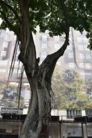 Eindrücke Rio de Janeiro