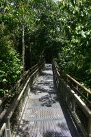 Iguazu Nationalpark Argentinien