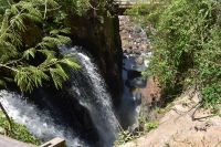 Iguazu Nationalpark Argentinien