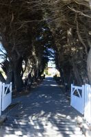 Eingang Government House