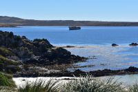 Falkland Inseln Nature Trek