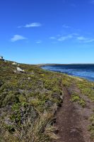 Falkland Inseln Nature Trek