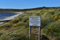 Falkland Inseln Nature Trek