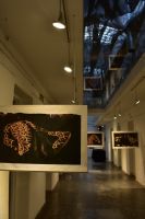 Kunstausstellung im Museum