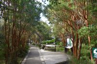 Nationalpark Chiloé