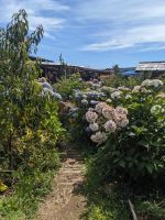 Mittagssnack Ausflug Chiloé