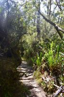 Nationalpark Chiloé