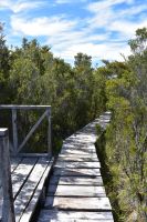 Nationalpark Chiloé