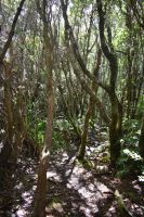 Nationalpark Chiloé