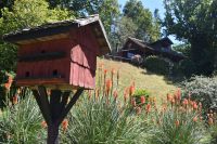 Deutsches Museum Frutillar