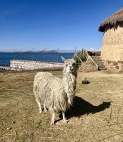 Andean Roots Eco Dorf, Titicaca-See