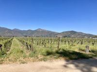 Emiliana Winery, Fahrt nach Valparaiso 