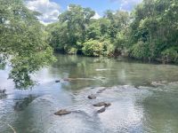 Iguazú-Wasserfälle, Argentinien