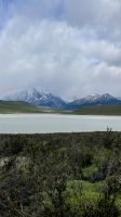 Laguna Amargura- Torres del Paine- Magallanes and Antartica Chilena Region- Chile