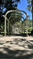 Botanical Garden- Rio de Janeiro- Greater Rio de Janeiro- Brazil