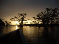 Sonnenuntergang über den Cuyabeno-See