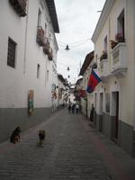 Calla La Ronda