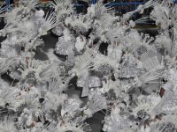 Karneval in Rio de Janeiro