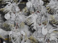 Karneval in Rio de Janeiro