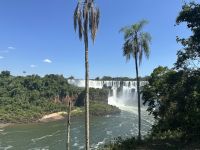 Argentinien - Iguazu Wasserfälle 
