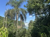 Argentinien - Iguazu Wasserfälle 