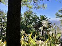 Tropisch schoen und warm