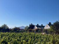 Das Weingut im Casablanca Tal