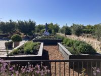 Hochbeete fuer die Kueche