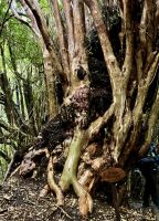 Alles will noch oben 