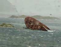 Uii, so sorry, die Sant Eleanora hat es nicht geschafft. 