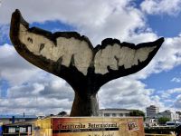 Willkommen in P.Arenas