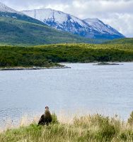 Erlebt nicht bloss gesehen