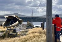 Die Walknochen Exposition von Mr. Butcher 