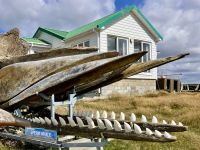 Der Garten von Mr. Butcher 